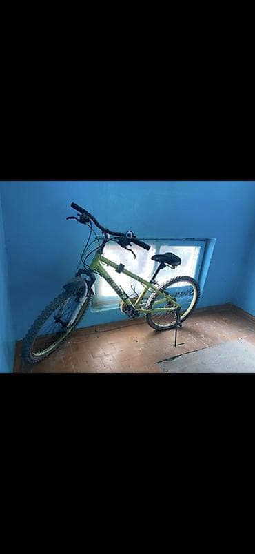 Шоссе велосипеддери: Тоо велосипеди, Alton, Велосипед алкагы M (156 - 178 см), Болот — 1