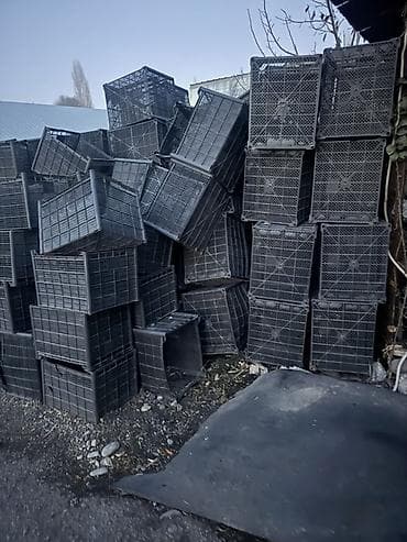 Пластиковый Ящик at lalafo.kg Пластиковый Ящик