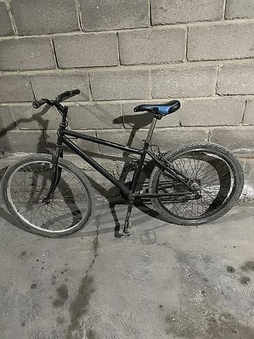 каракол боди: Шаардык велосипед, Велосипед алкагы S (145 - 165 см) — 1