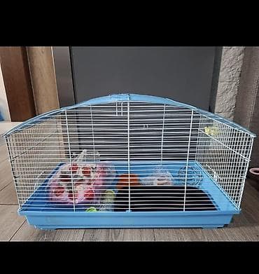 белая крыса: Просторная клетка для мелких грызунов/кроликов. Характеристики: - — 1