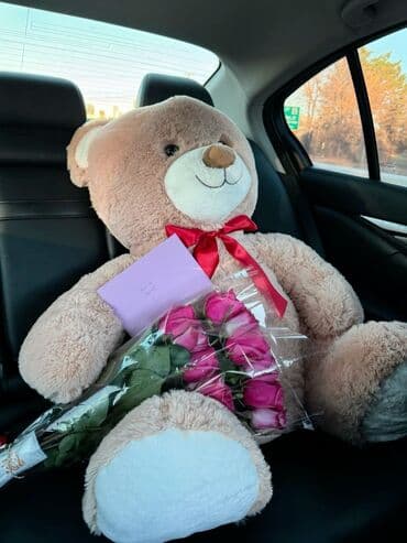 кулош шым: Мишка Ош Мишки Оптом — 8