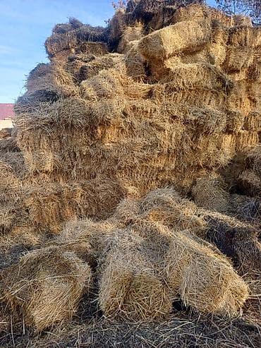 Солома в тюках. 

-