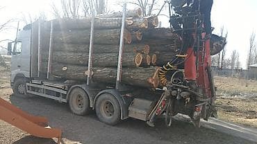 adr 1 8: Услуги по валке, обрезке и вывозу деревьев с применением лесовоза с — 2