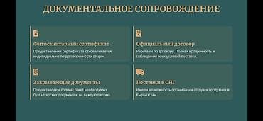 опилку: Прямые поставки декоративной коры сосны и лиственницы Регион — 6