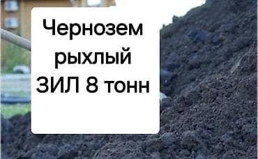 В тоннах, Зил