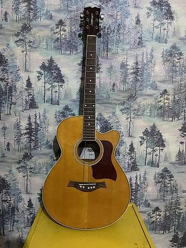 баян детский: Продаются гитара с чехломЕСТЬ НЕМНОГО РАБОТЫ!!Акустическая гитара — 1