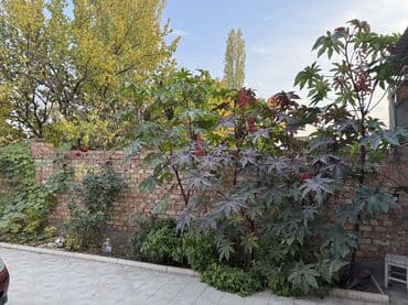 недостроенные дома в бишкеке: Дом, 110 м², 5 комнат, Собственник, Косметический ремонт — 6