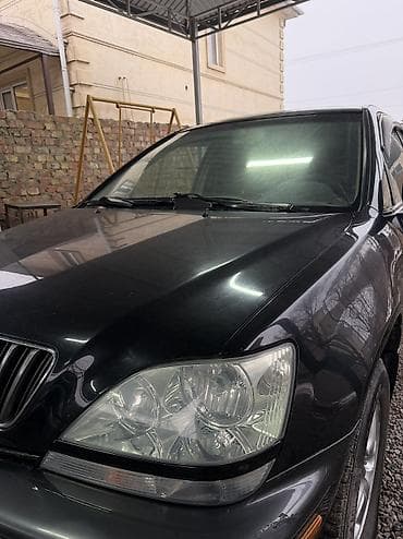 suv: Lexus RX: 2002 г., 3 л, Автомат, Бензин, Внедорожник — 9