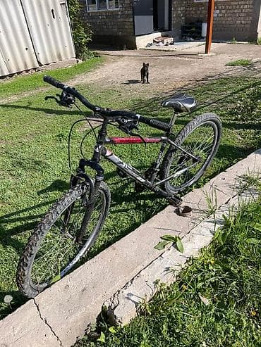 цена велика: Горный велосипед, Рама M (156 - 178 см), Сталь — 3