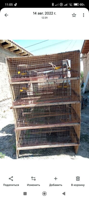 добрый жук: Многоярусные клетки для птицы/кроликов бодоно клетка перепела клетка — 3