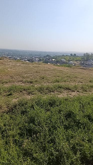 20 соток, Айыл чарба үчүн, Кызыл китеп — 1