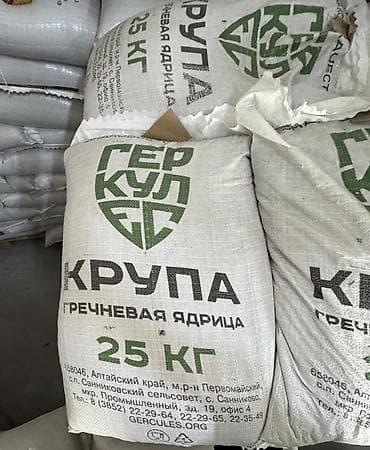 лузга гречихи: ОПТОВЫЕ ПРОДАЖИ ГРЕЧКИ Крупа «Геркулес» — гречневая ядрица - Тип — 2