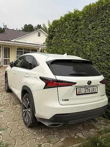 портер 2 чехол: Lexus NX: 2018 г., 2 л, Автомат, Бензин, Кроссовер — 2