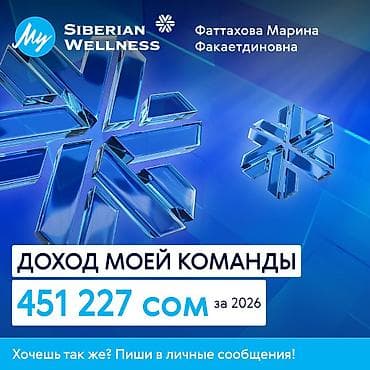 швея аламидин 1: Онлайн-проект с Siberian Wellness — набор в команду «Созвездие — 3