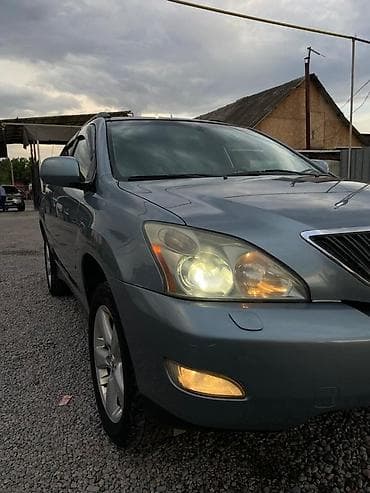 Lexus RX: 2004 г., 3.3 л, Автомат, Бензин, Кроссовер — 5