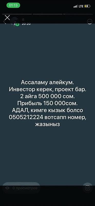 Ищу инвестора для готового проекта. - Сумма инвестиций: 500 000 сом -