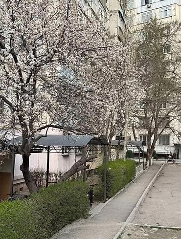 3 комнаты, 62 м², 105 серия, 8 этаж, Евроремонт — 4