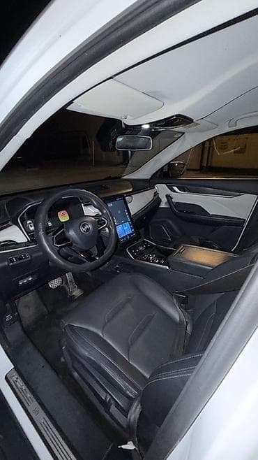 byd delphin: Weltmeister E5, 2021 г. — 6