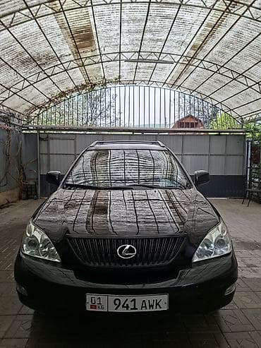 ско: Lexus RX: 2004 г., 3.3 л, Автомат, Газ, Кроссовер — 5
