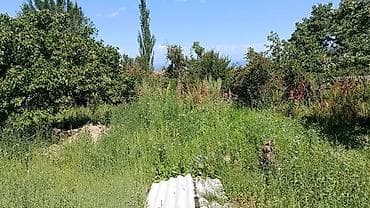 кен сай пост: 1320 соток, Для сельского хозяйства, Красная книга — 5