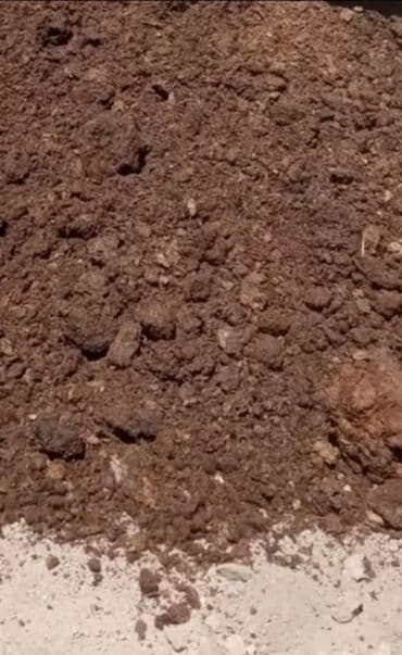 Навоз кык бесплатно