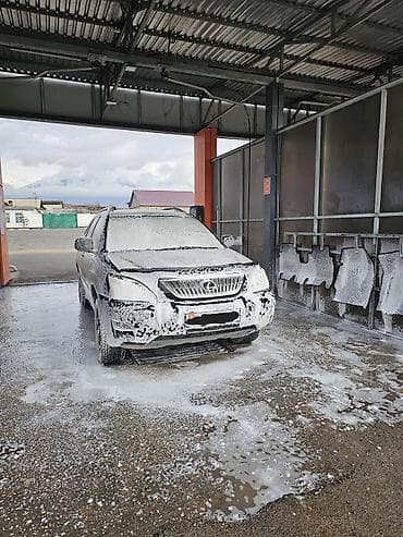 Lexus RX: 2004 г., 3 л, Автомат, Газ, Кроссовер — 5