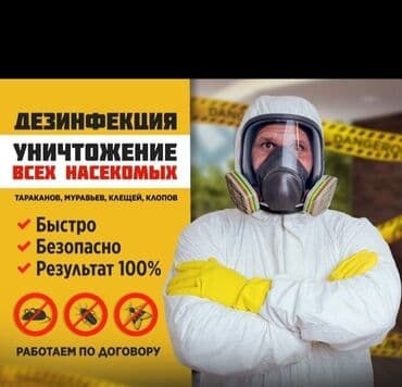 дезинфекция дома от клопов ош: Дезинфекция, дезинсекция, | Клопы, Блохи, Тараканы, | Транспорт, Офисы, Квартиры — 2