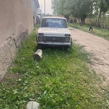 нива кузув: ВАЗ (ЛАДА) 2121 (4x4): 1986 г., Внедорожник — 1