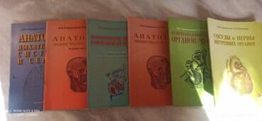 профессиональные музыкальные инструменты: Комплект учебной литературы по анатомии и физиологии: - «Атлас — 2