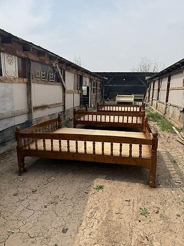 брудер для кур: Тапчан Дерево — 3