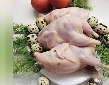 Мёд: Находимся в Бишкеке ! Мясо и яйца Перепелок Вес тушки от 200 гр и — 1