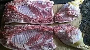 один штук: Свинина, разделка на части. Предлагаются свинина домашнее ляжки — 1