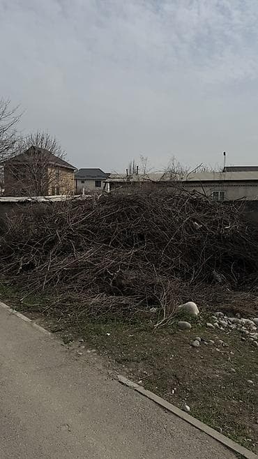 опилки даром: Дрова Самовывоз — 1