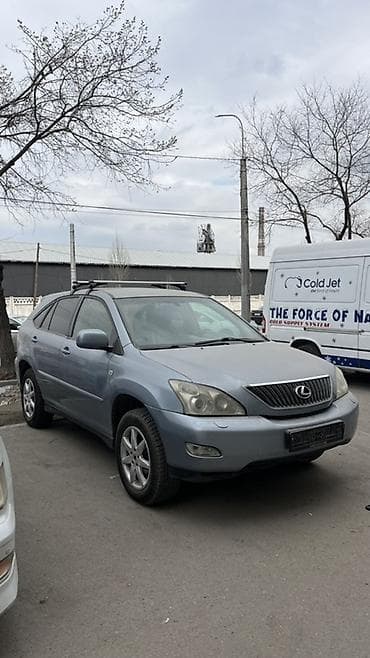 ош жапалак: Lexus RX: 2004 г., 3 л, Автомат, Газ, Кроссовер — 2