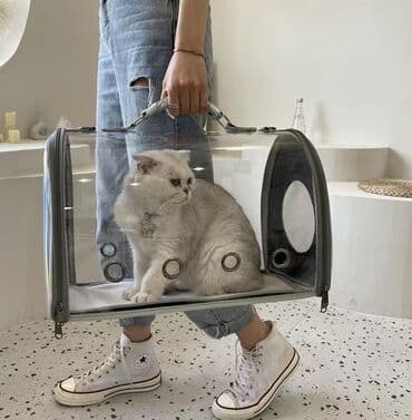 переноска для кошек бу: Зоотовары.
Игрушки для животных — 20