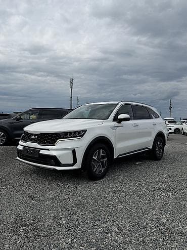 kia 2021: Kia Sorento: 2021 г., 1.6 л, Автомат, Гибрид, Внедорожник — 2