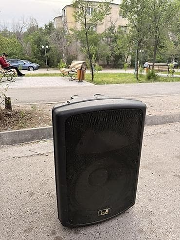 aphone x: Продаю! двухполосная акустическая система Soundking FP215. Есть торг — 1