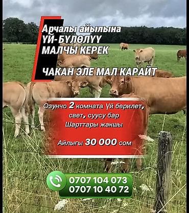 найти работу на ферме: Требуется Скотник, Оплата: Сдельная — 1
