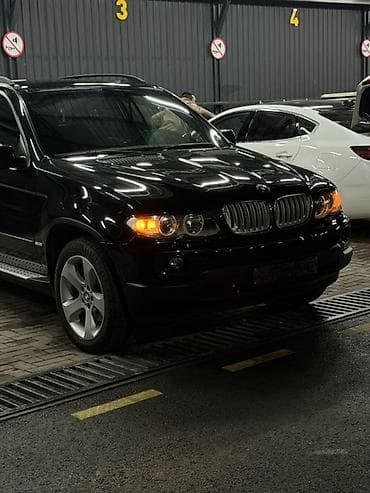 Продажа авто: BMW X5: 2004 г., 3 л, Бензин — 2