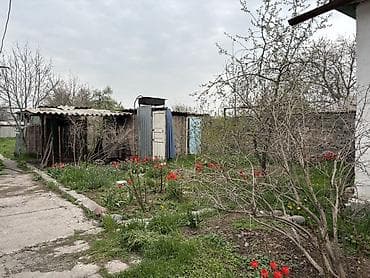 продаю дом с пригородное: Продаю уютный дом с плодоносящим садом (8 соток) Продаем свой дом — — 8