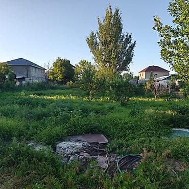 забыл: Дом с участком под любые цели. Готовили под Бизнес. - Территория — 6