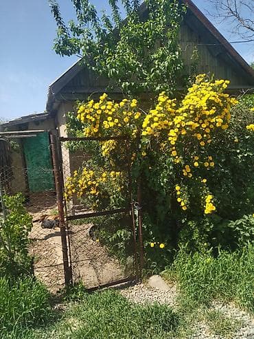 Дом с садом и участком - Небольшой дом с двускатной крышей и