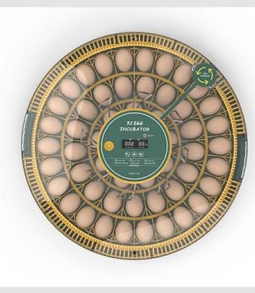 Серебряные украшения: Инкубатор на 52 яйца (52Н) - Вместимость: до 52 куриных яиц в круглом — 4