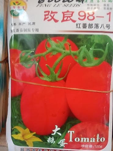 Продается семена Китай новичок помидор — 9