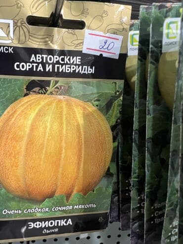 продаю овощи: Уруктар жашылчалардын: Капуста, Сабиз, Калемпирлер, Өзү алып кетүү, Акылуу жеткирүү — 27