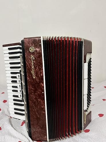 аккордеон детский: Аккордеон (пианино-аккордеон) «Аккорд» - Клавиатура правой руки — 1
