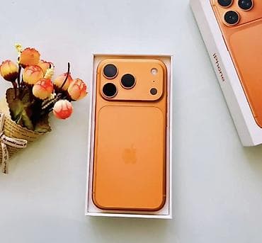 IPhone 17 Pro Max, Б/у, 512 ГБ, Зарядное устройство, Защитное стекло, Чехол, 100 %