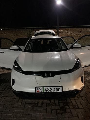 электро грузовой муравей: Weltmeister EX5, 2020 г., 260000 км, Передний, В наличии — 4