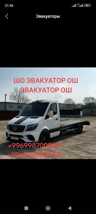 Сдаю в аренду