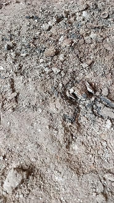 вынос строительный мусор: Услуги по вывозу и уборке строительного мусора, земли и бетона - — 1